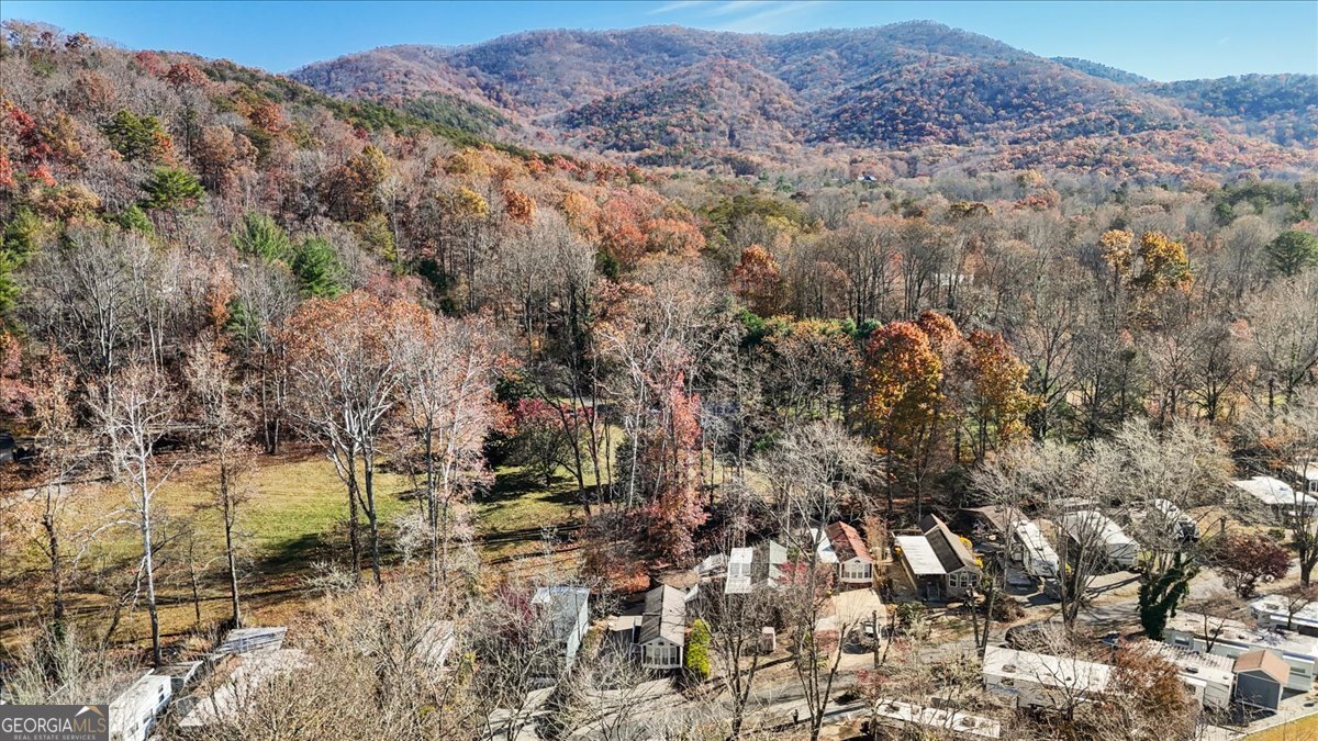 130 Creekview Drive Cleveland GA 30528