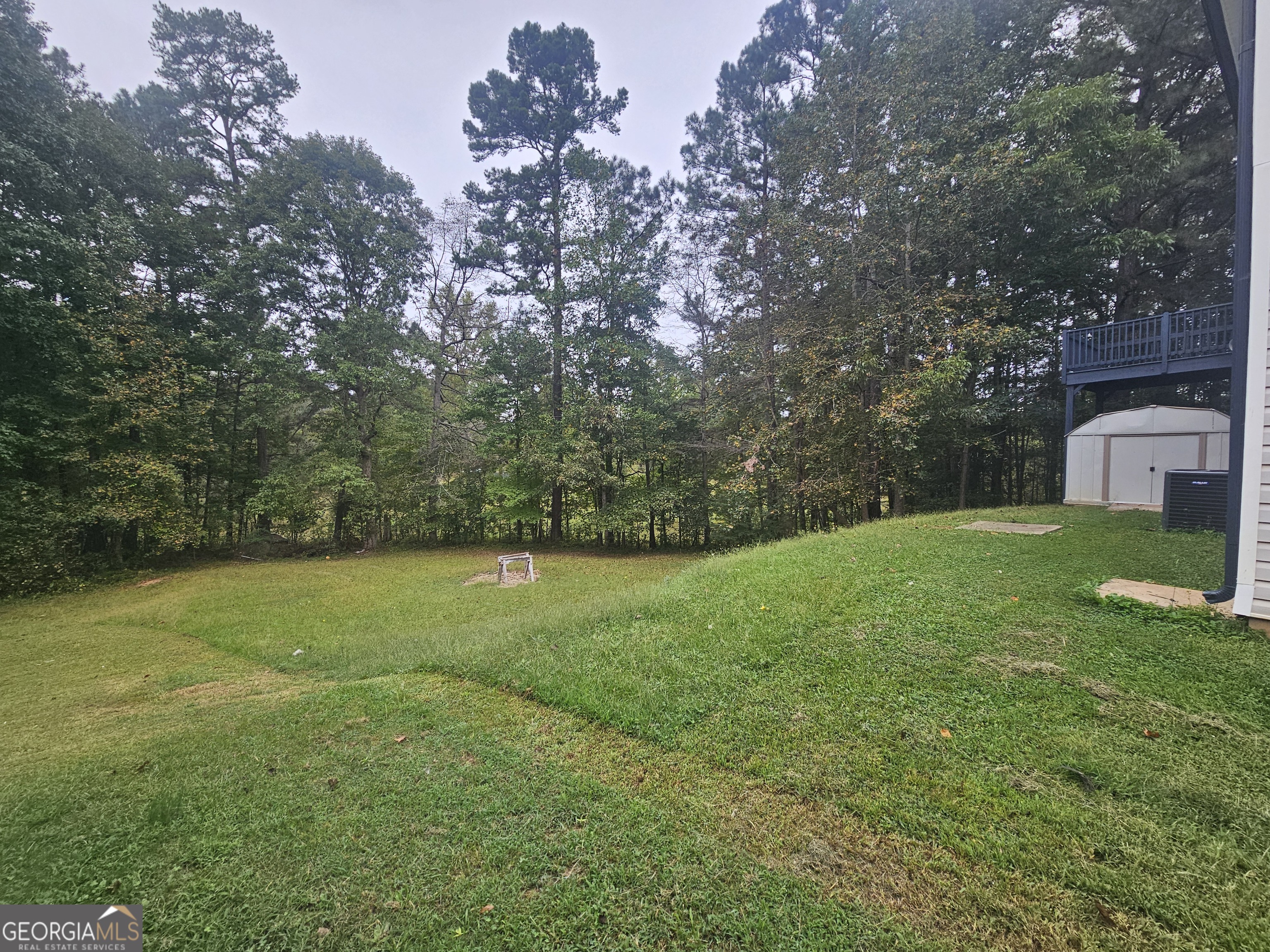 521 Shaggy Hickory Trail Palmetto GA 30268