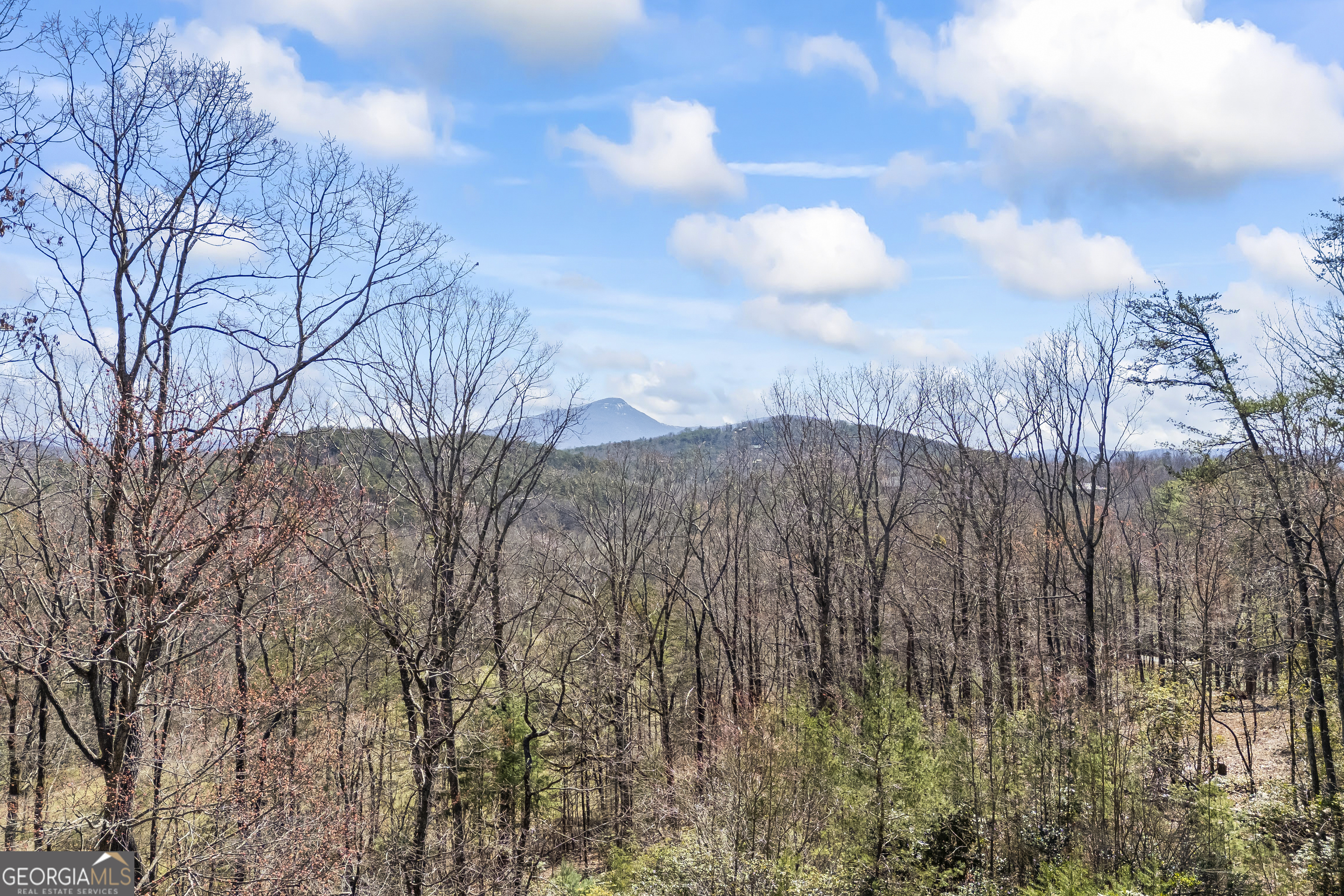 266 Slayton Gap Trail Cleveland GA 30528