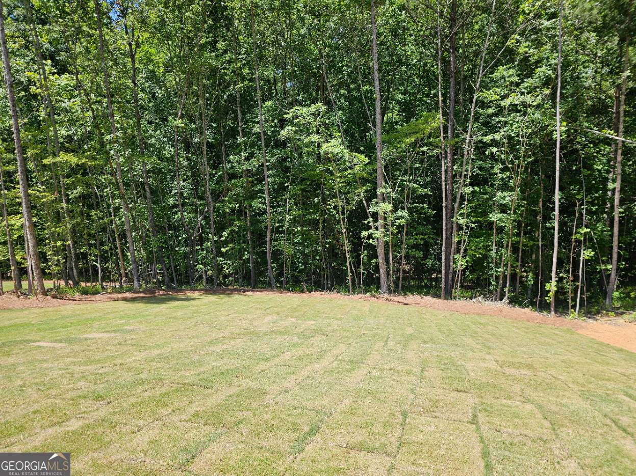 479 Principal Meridian Drive Dallas GA 30132