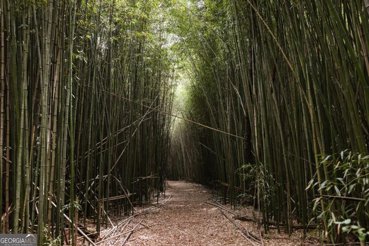 240 Beech Creek Road Athens GA 30606