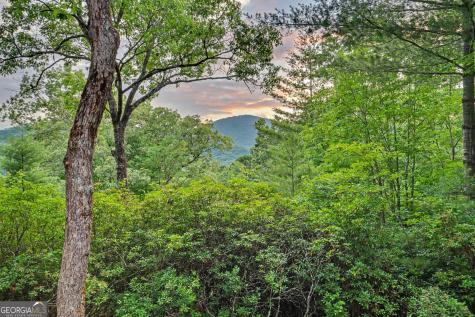 69 Durango Lane Clayton GA 30525