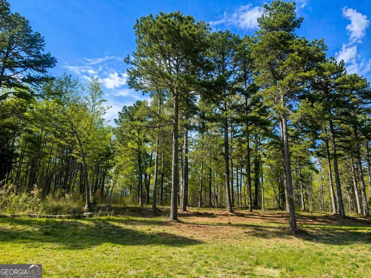 575 Hardy Road Martin GA 30557