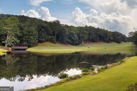 1414 Mcelroy Mountain Drive Big Canoe GA 30143