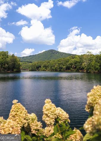 1414 Mcelroy Mountain Drive Big Canoe GA 30143