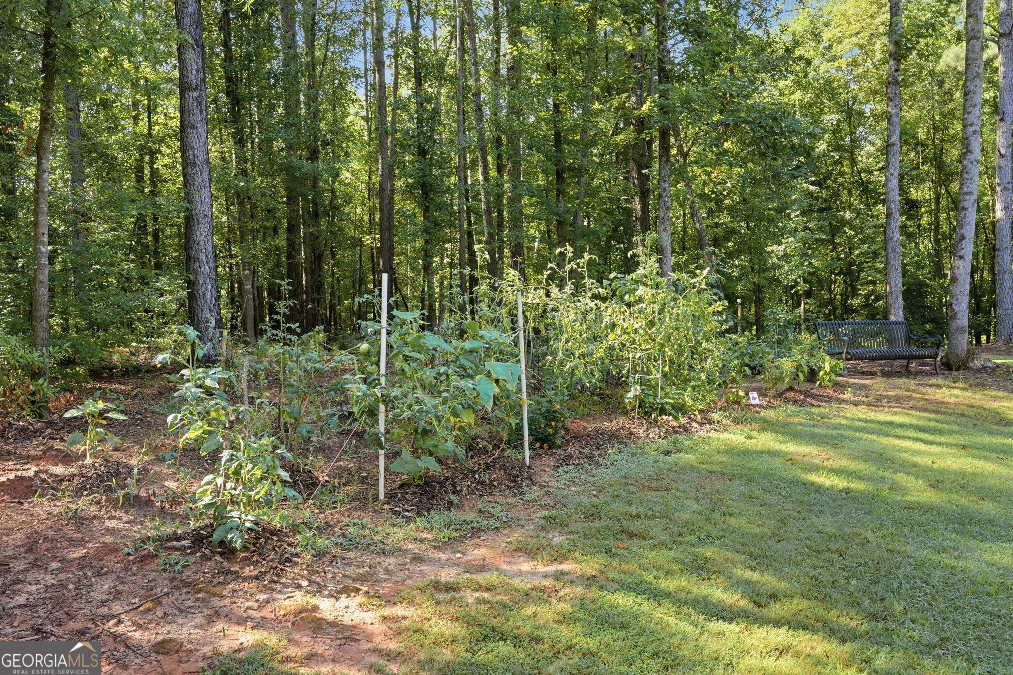 100 Levi Trail Nicholson GA 30565