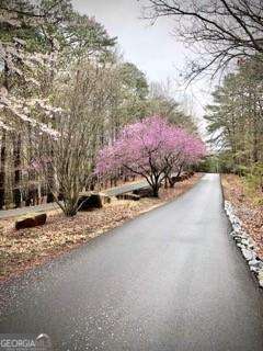 129 Mores Elm Loop Waleska GA 30183