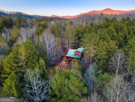 239 Ernest Alta Circle Blue Ridge GA 30513