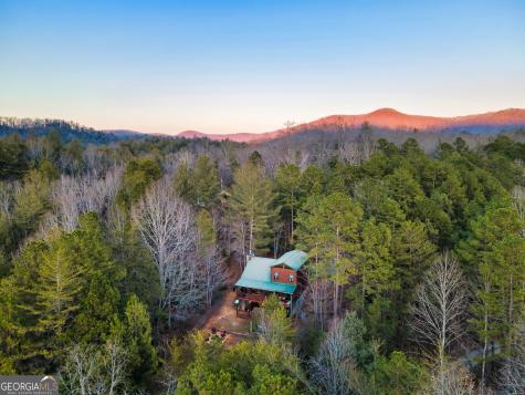 239 Ernest Alta Circle Blue Ridge GA 30513