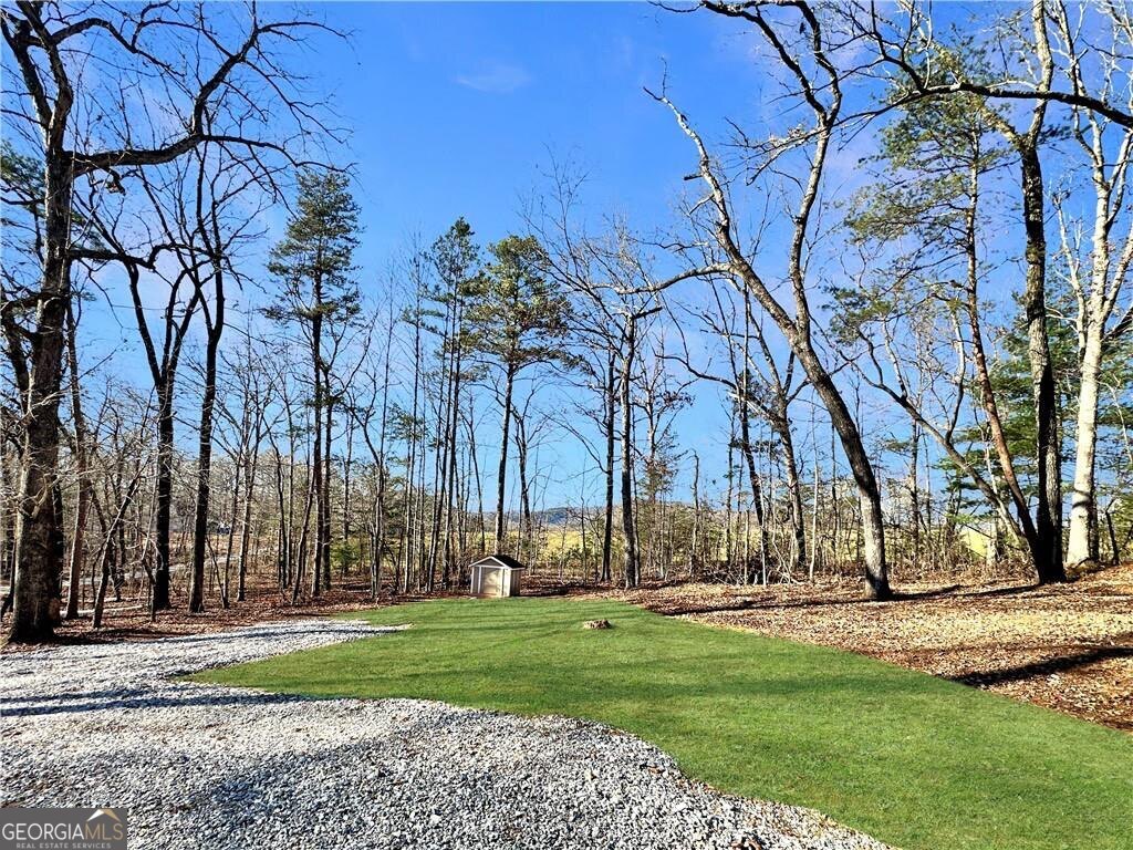 730 Carrie Cove Lane Clarkesville GA 30523