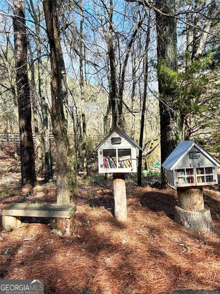 3115 Old Pruitt Road Cumming GA 30041