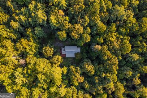10950 Chatsworth Highway Ellijay GA 30540
