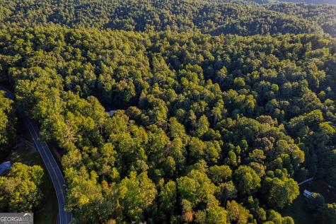 10950 Chatsworth Highway Ellijay GA 30540