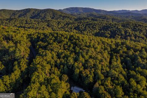 10950 Chatsworth Highway Ellijay GA 30540