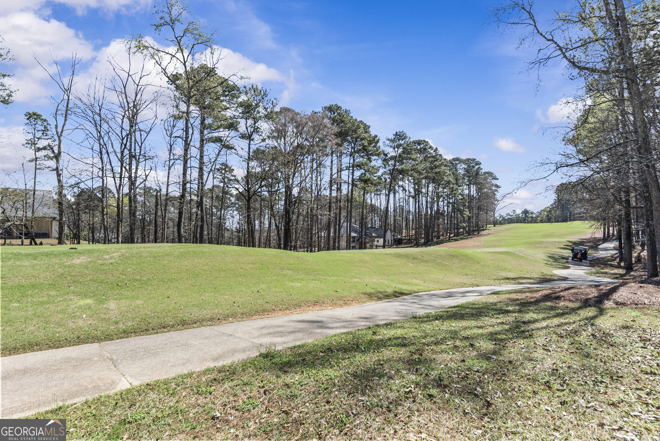 1100 Lake Drive Greensboro GA 30642