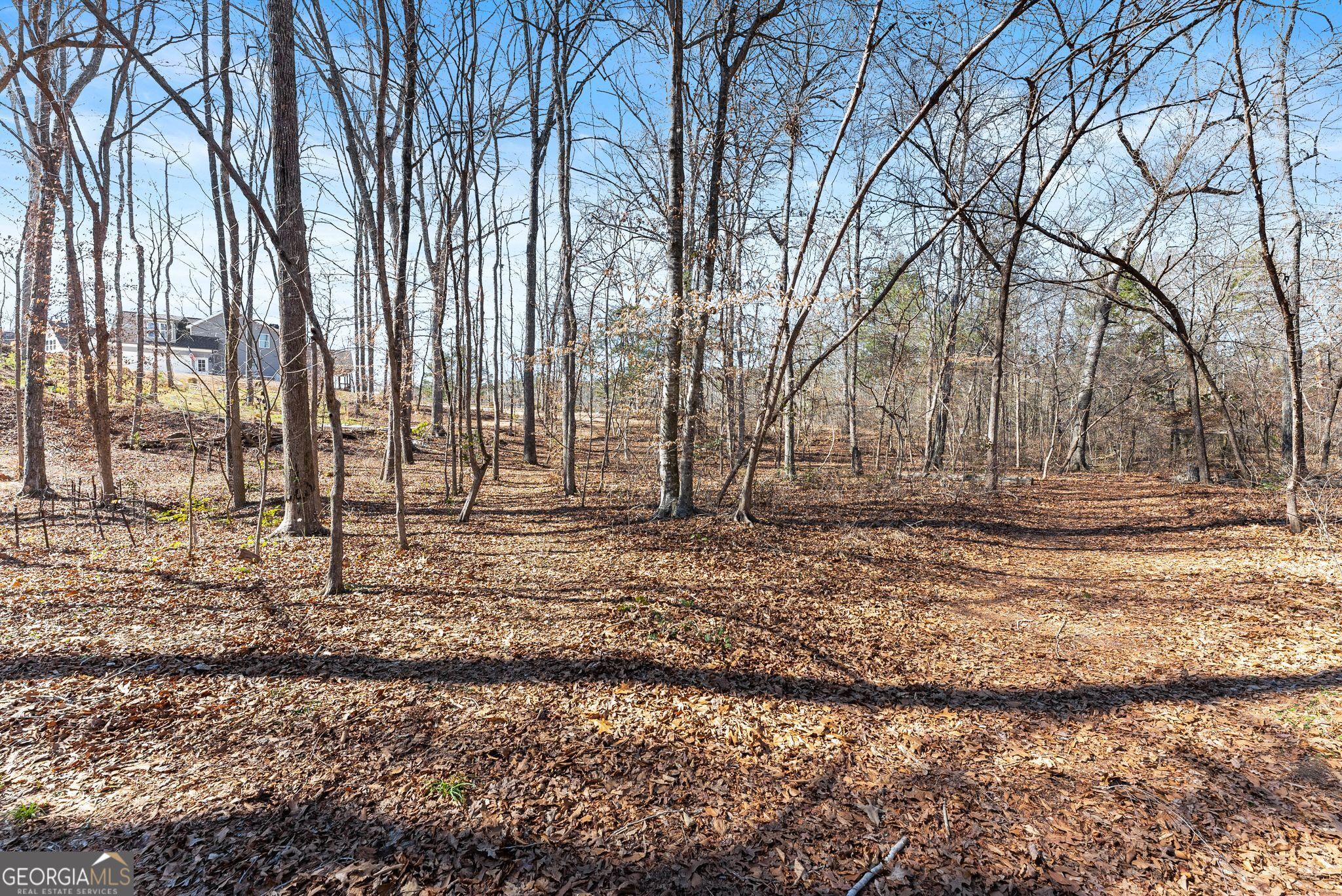 434 Riverbend Lane Bogart GA 30622