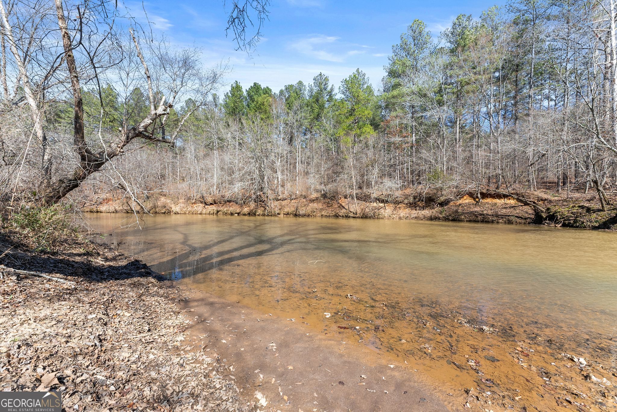 434 Riverbend Lane Bogart GA 30622