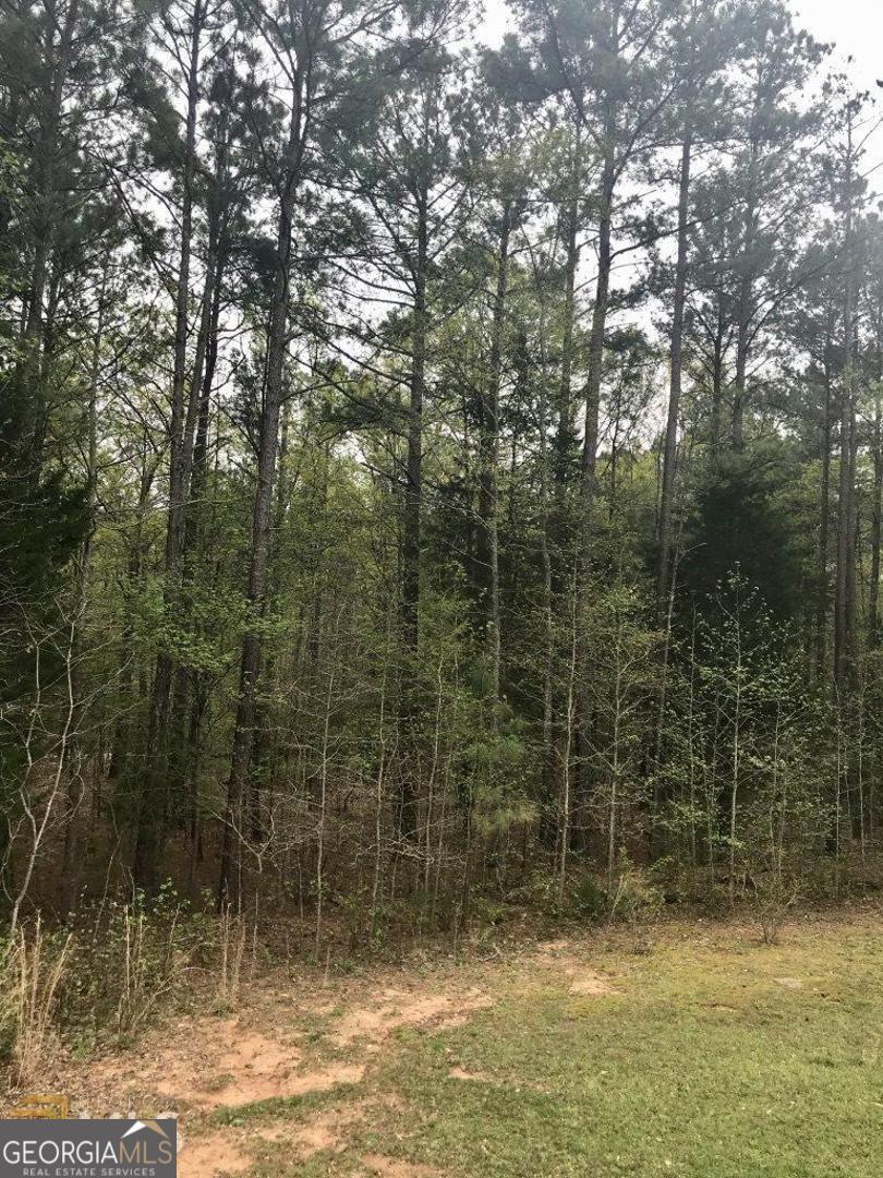 114 Brushy Creek Lane Jackson GA 30233