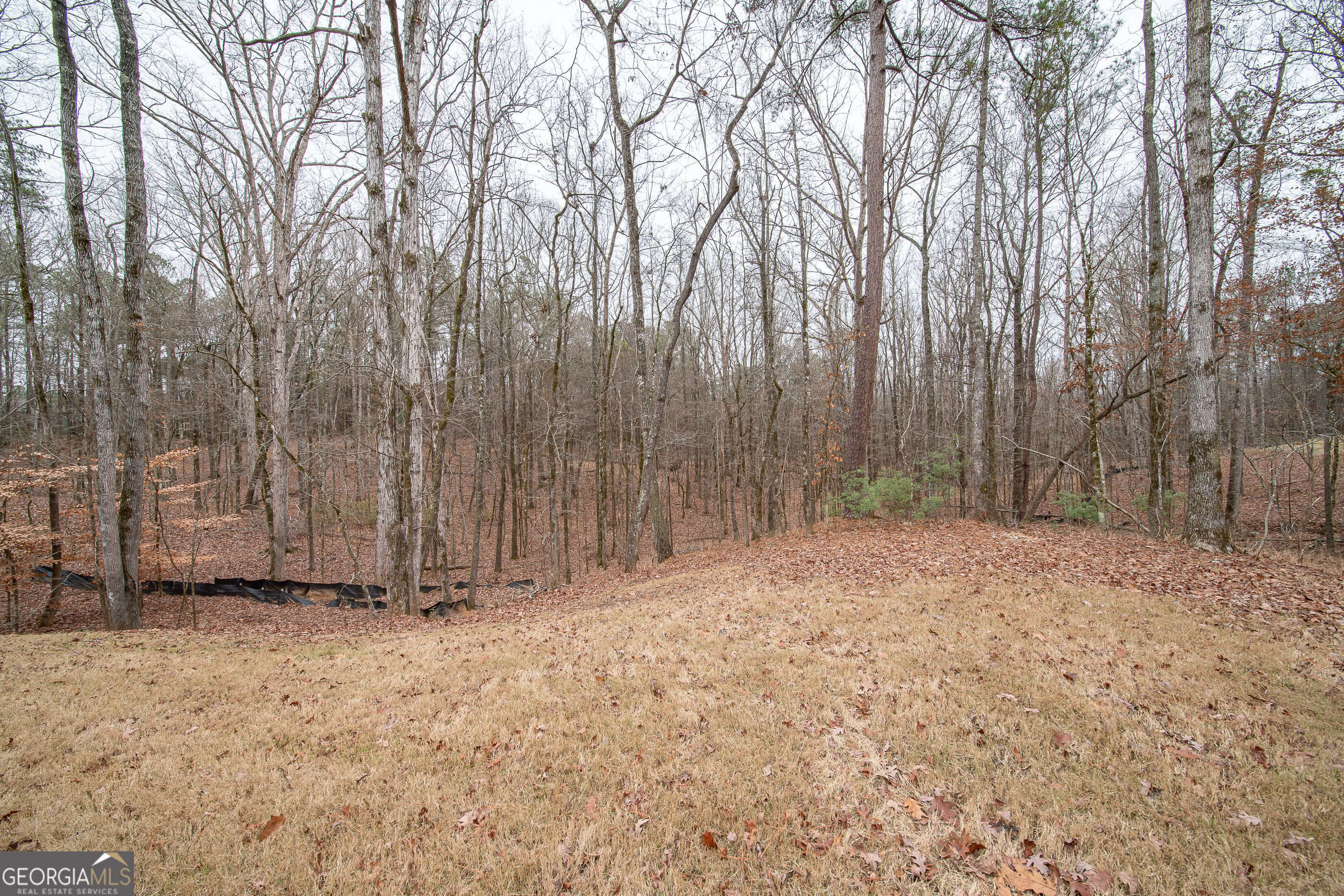 75 Ironwood Way Midland GA 31820