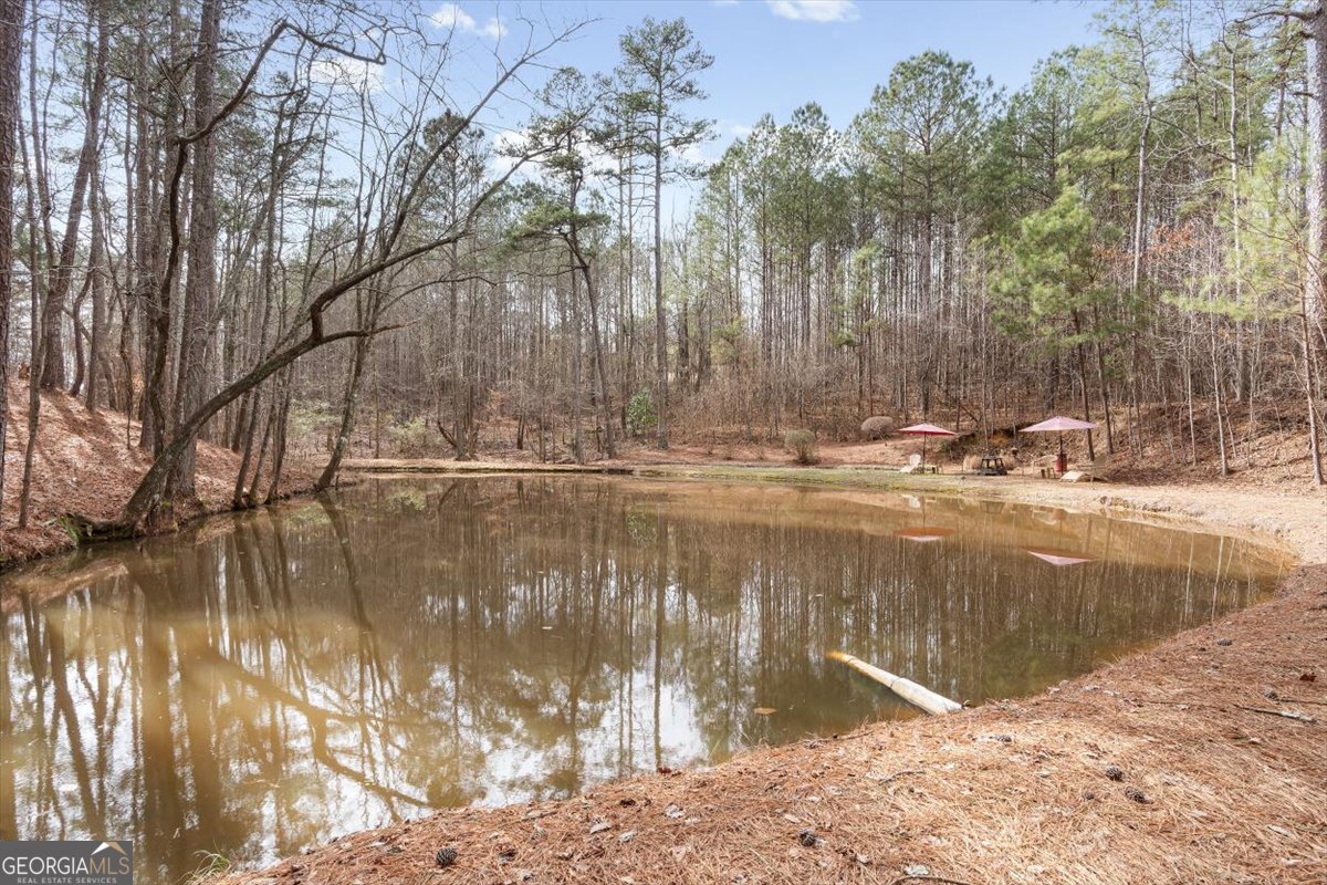 455 M Sanders Road Buchanan GA 30113
