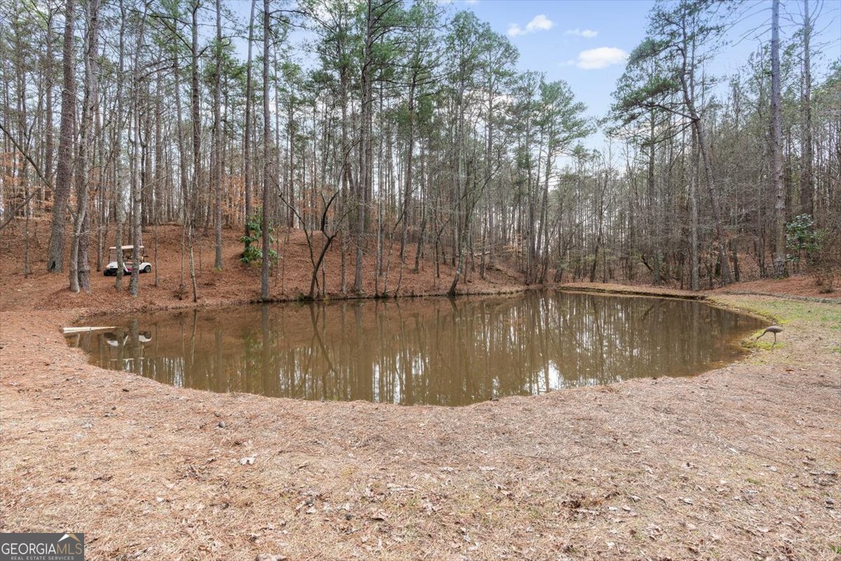 455 M Sanders Road Buchanan GA 30113