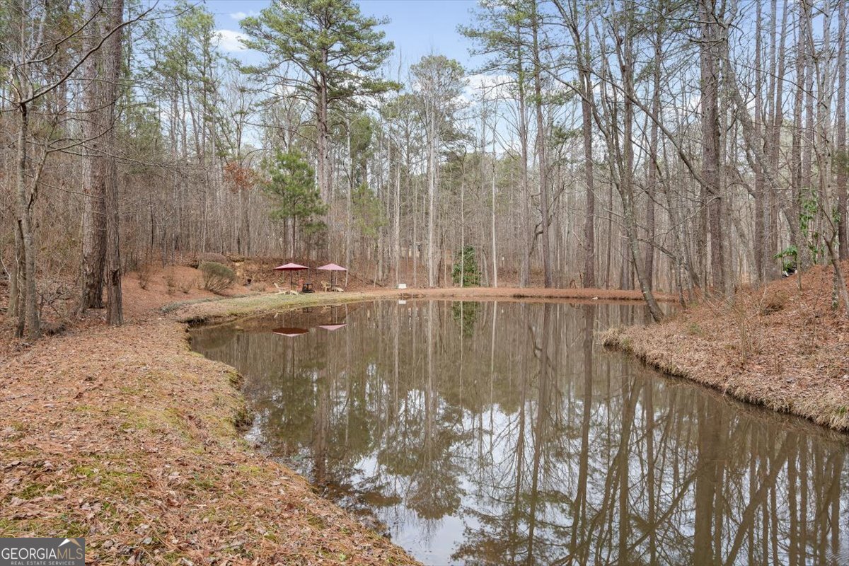455 M Sanders Road Buchanan GA 30113