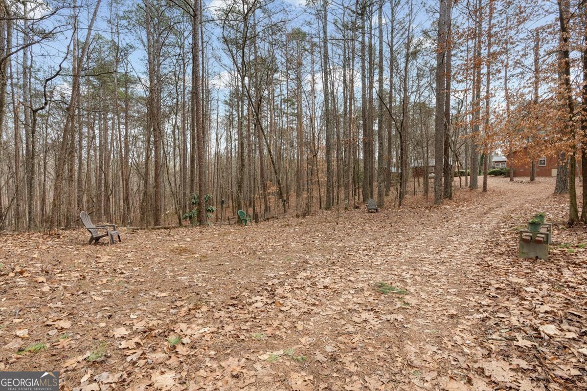 455 M Sanders Road Buchanan GA 30113