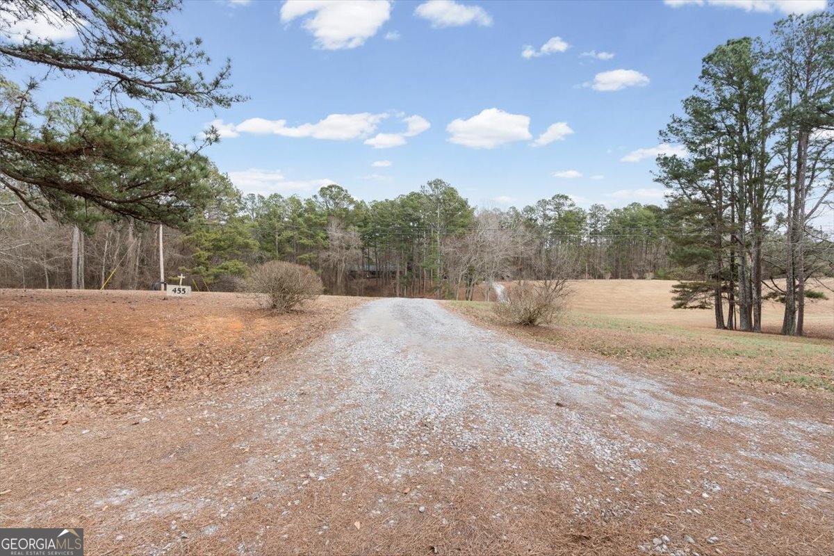 455 M Sanders Road Buchanan GA 30113