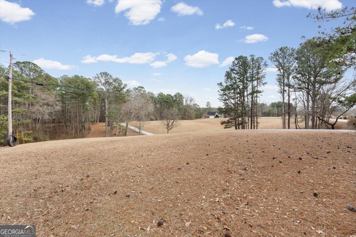 455 M Sanders Road Buchanan GA 30113