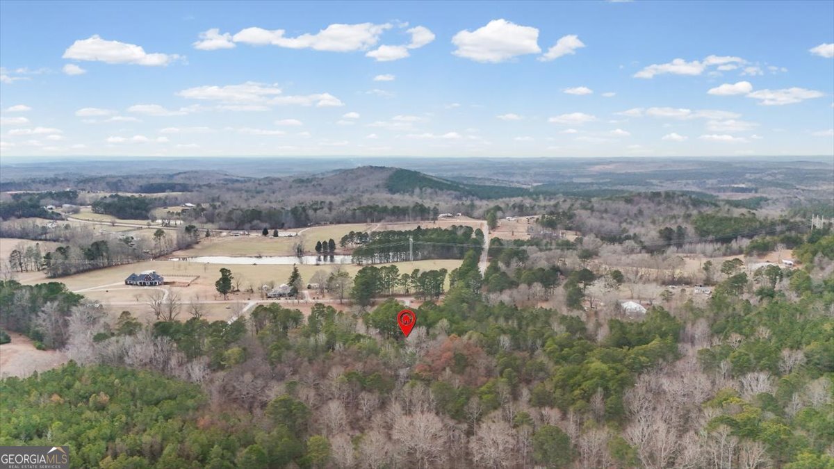 455 M Sanders Road Buchanan GA 30113