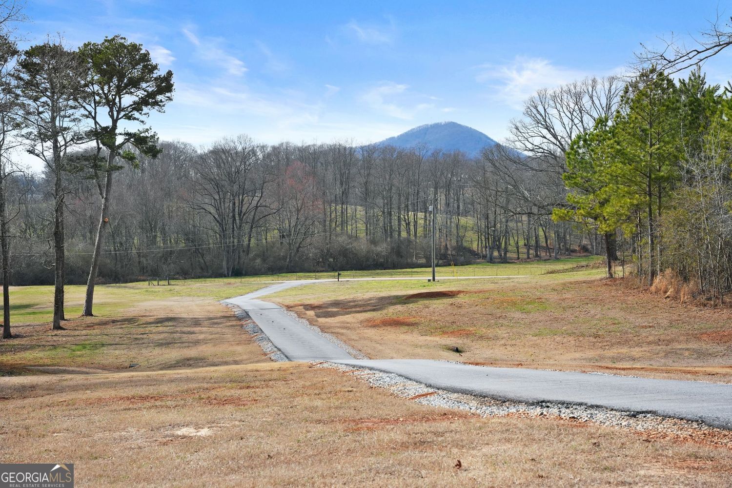 6998 Britt Gailey Road Clermont GA 30527