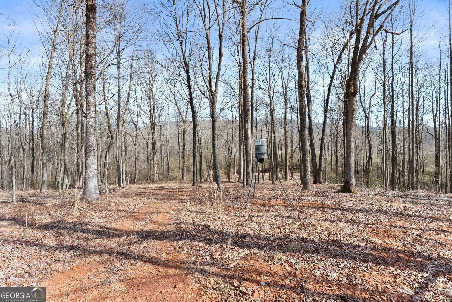 6998 Britt Gailey Road Clermont GA 30527