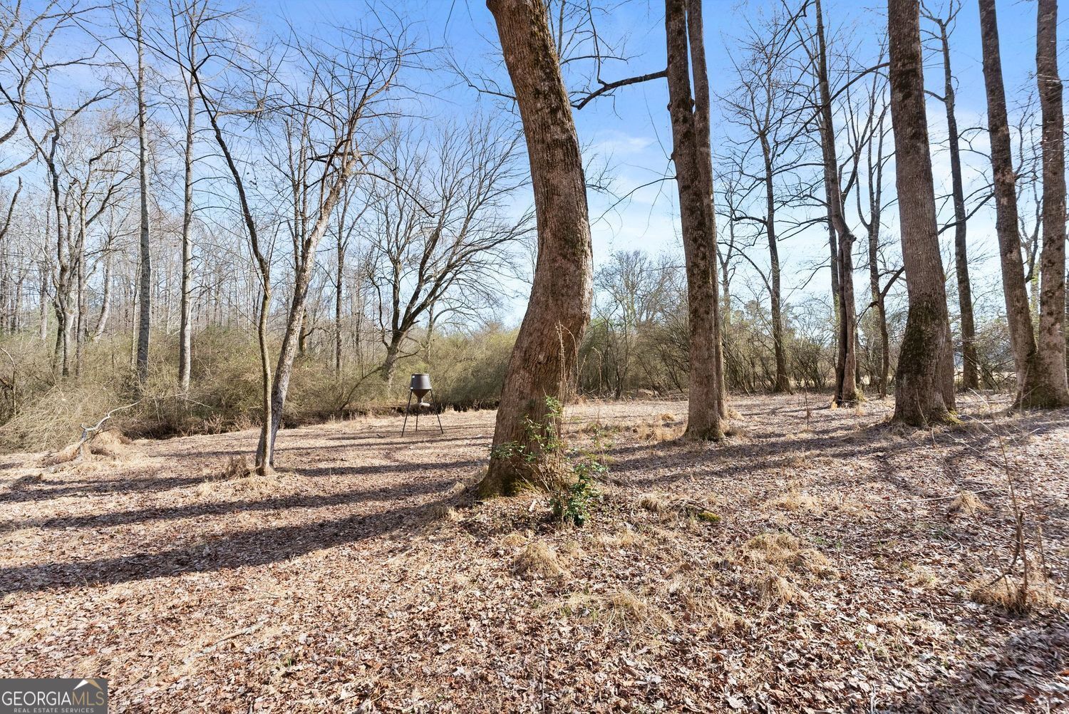 6998 Britt Gailey Road Clermont GA 30527