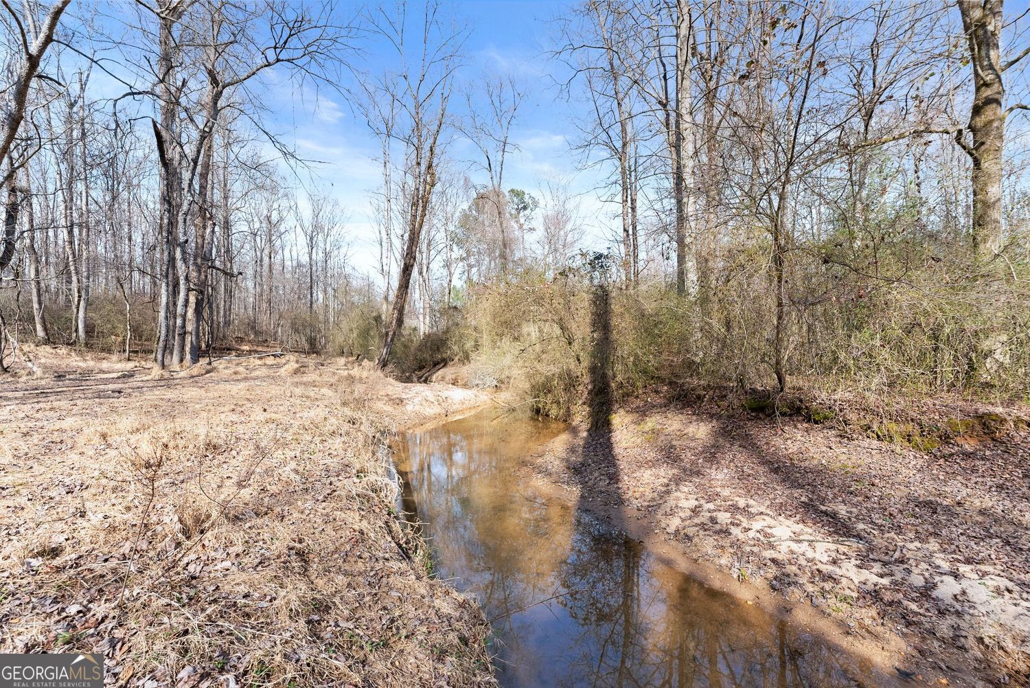 6998 Britt Gailey Road Clermont GA 30527