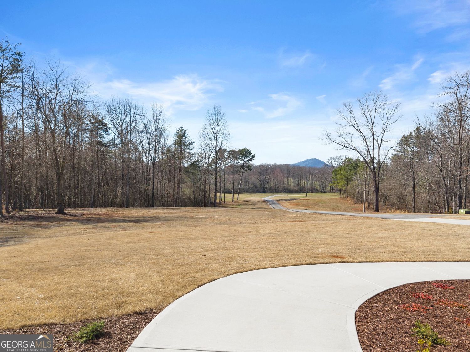 6998 Britt Gailey Road Clermont GA 30527