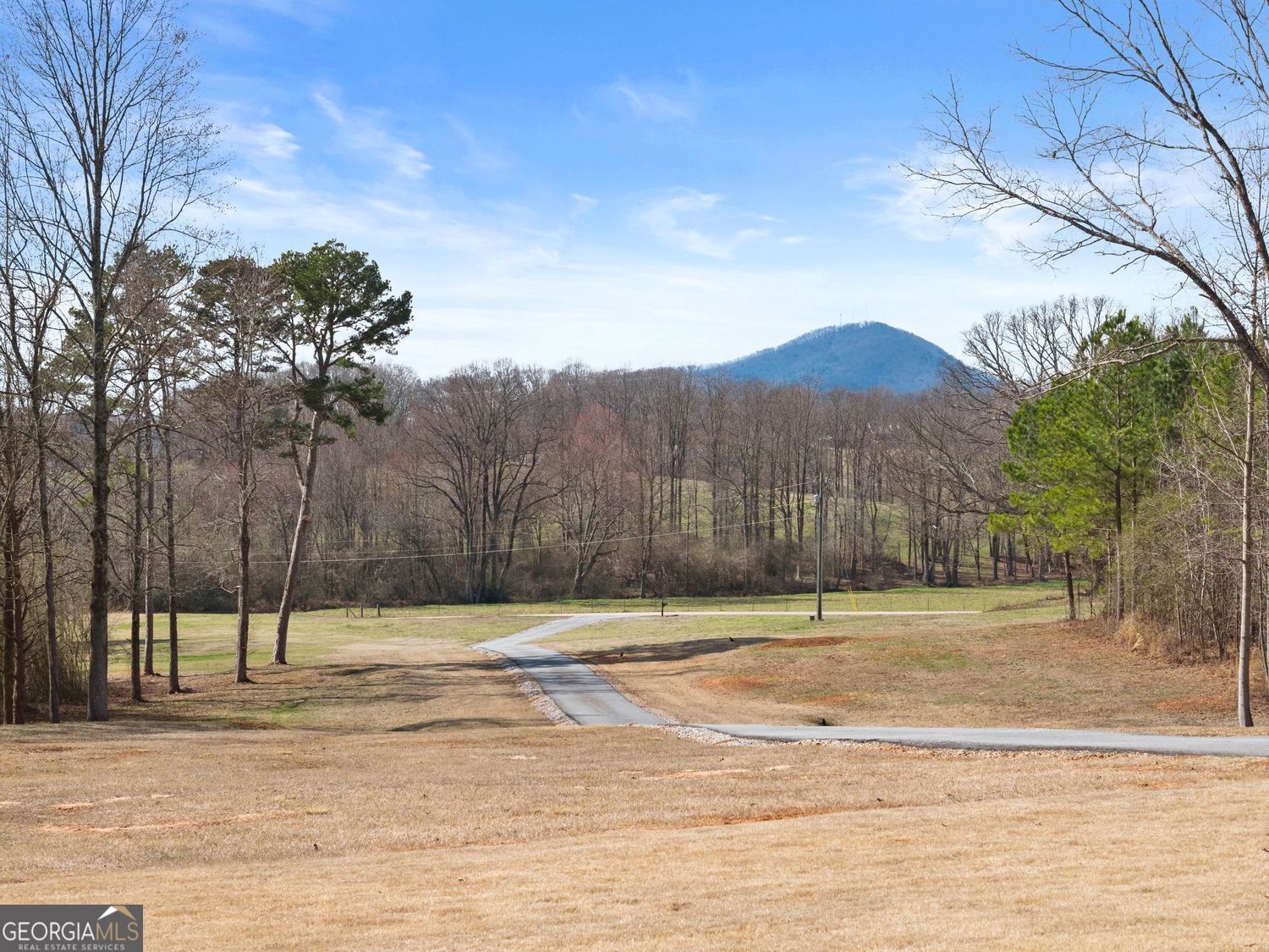 6998 Britt Gailey Road Clermont GA 30527