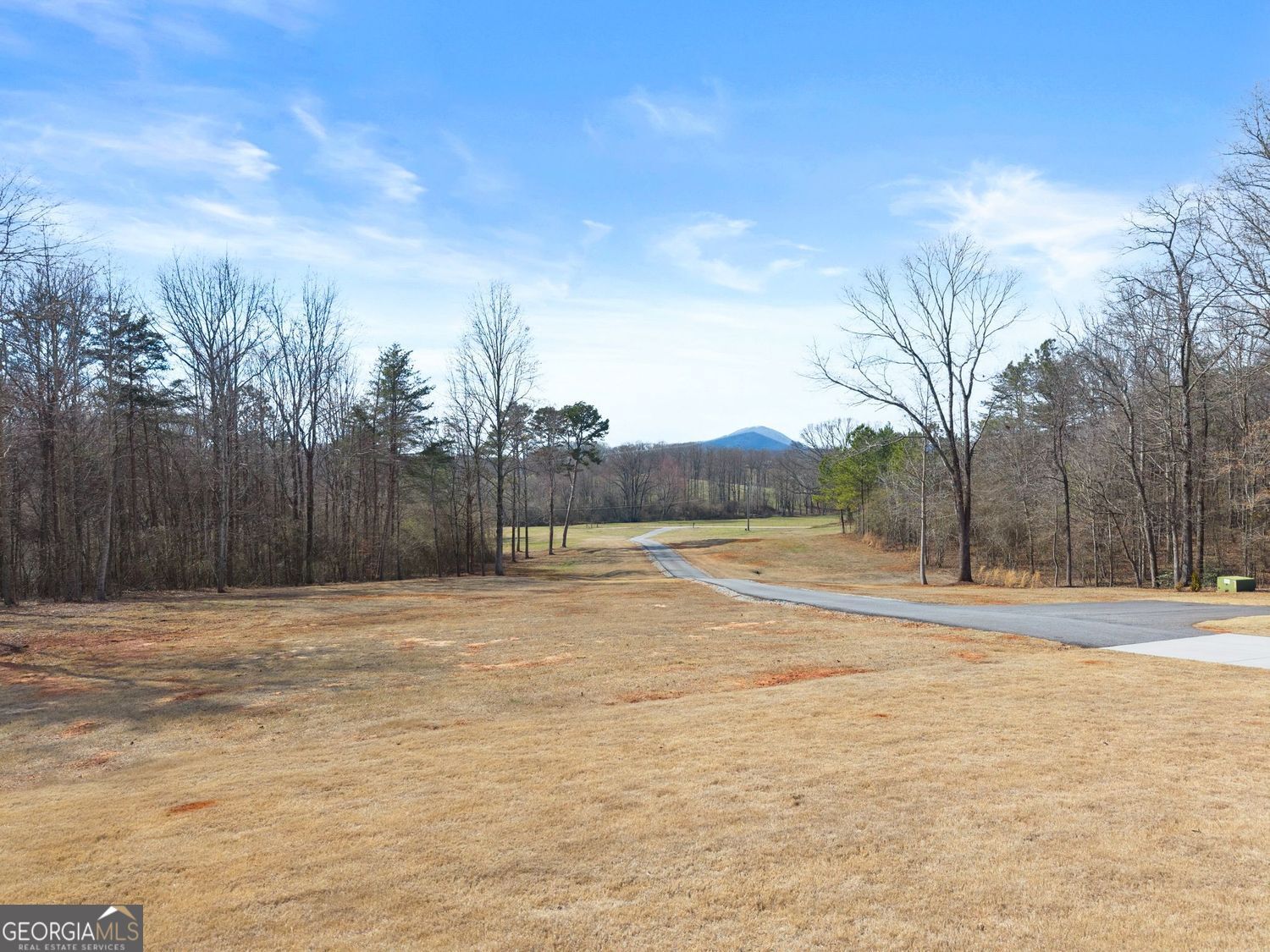 6998 Britt Gailey Road Clermont GA 30527