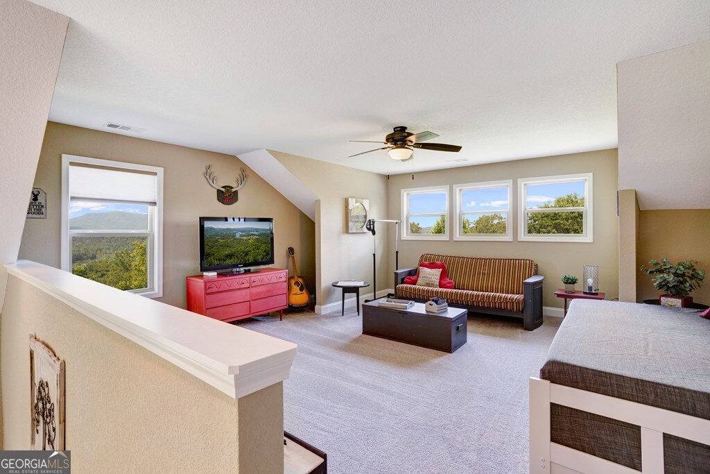 379 Chancey Drive Hiawassee GA 30546
