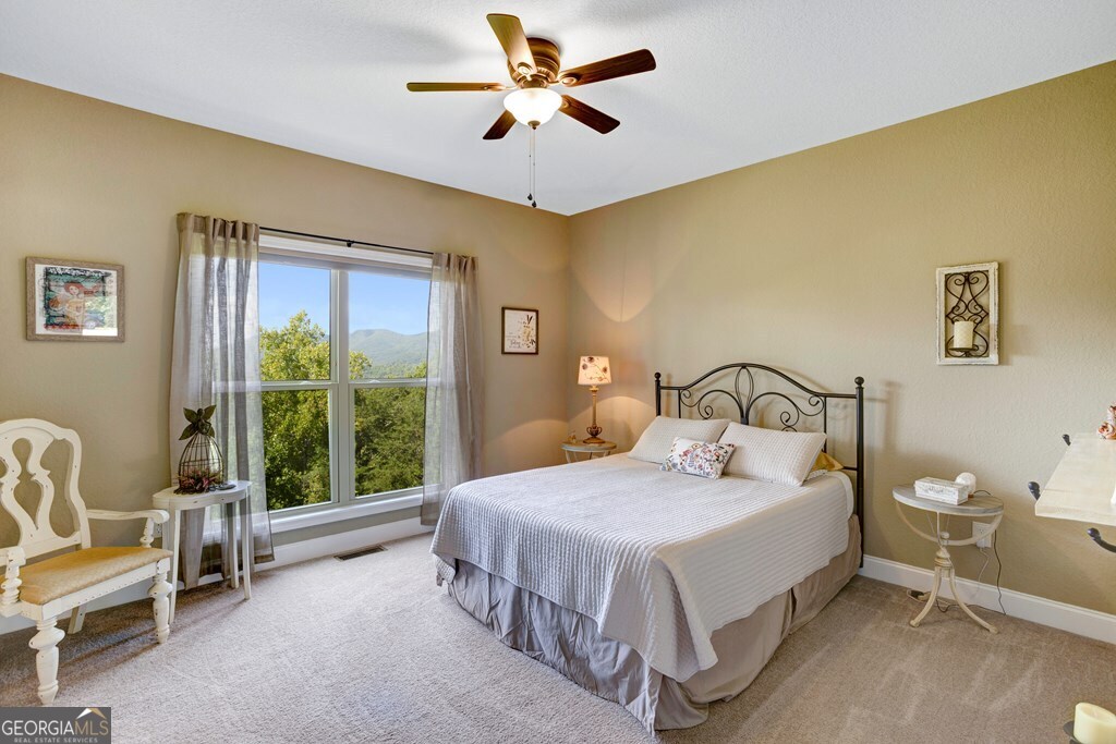 379 Chancey Drive Hiawassee GA 30546