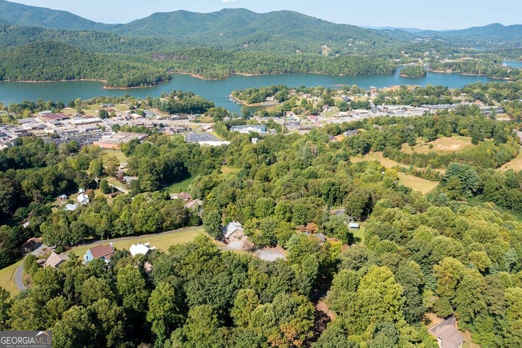 379 Chancey Drive Hiawassee GA 30546