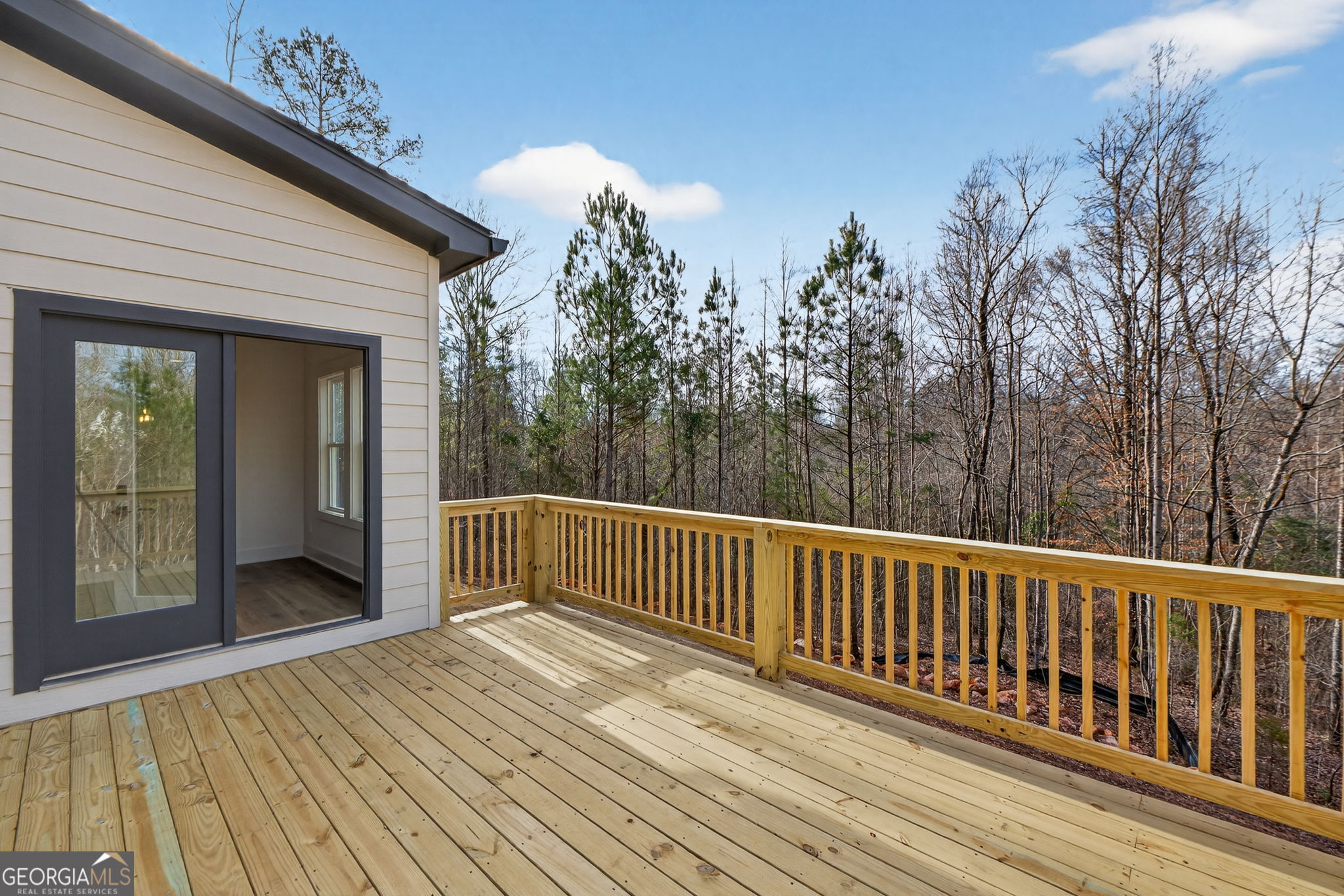 30 Concord Circle Senoia GA 30276