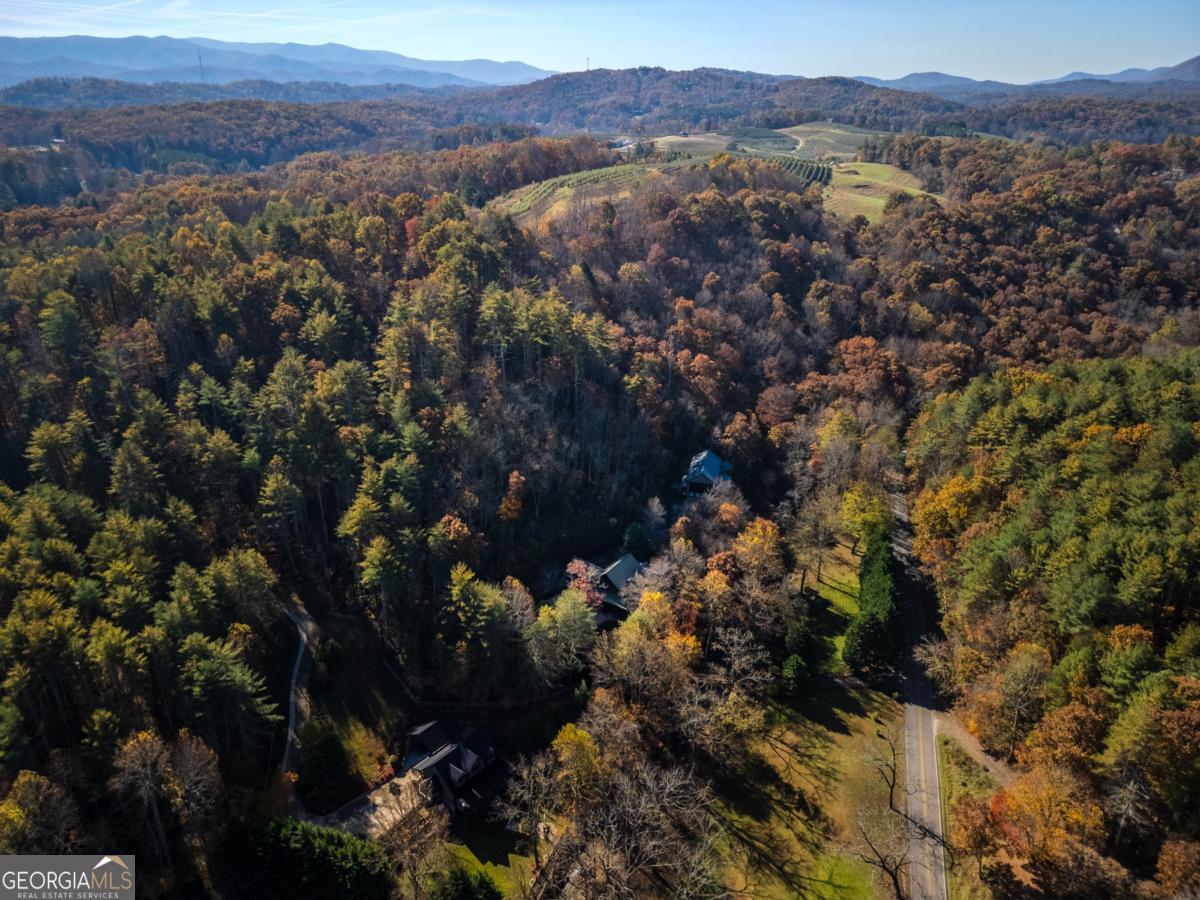 60 Ford Road Blue Ridge GA 30513
