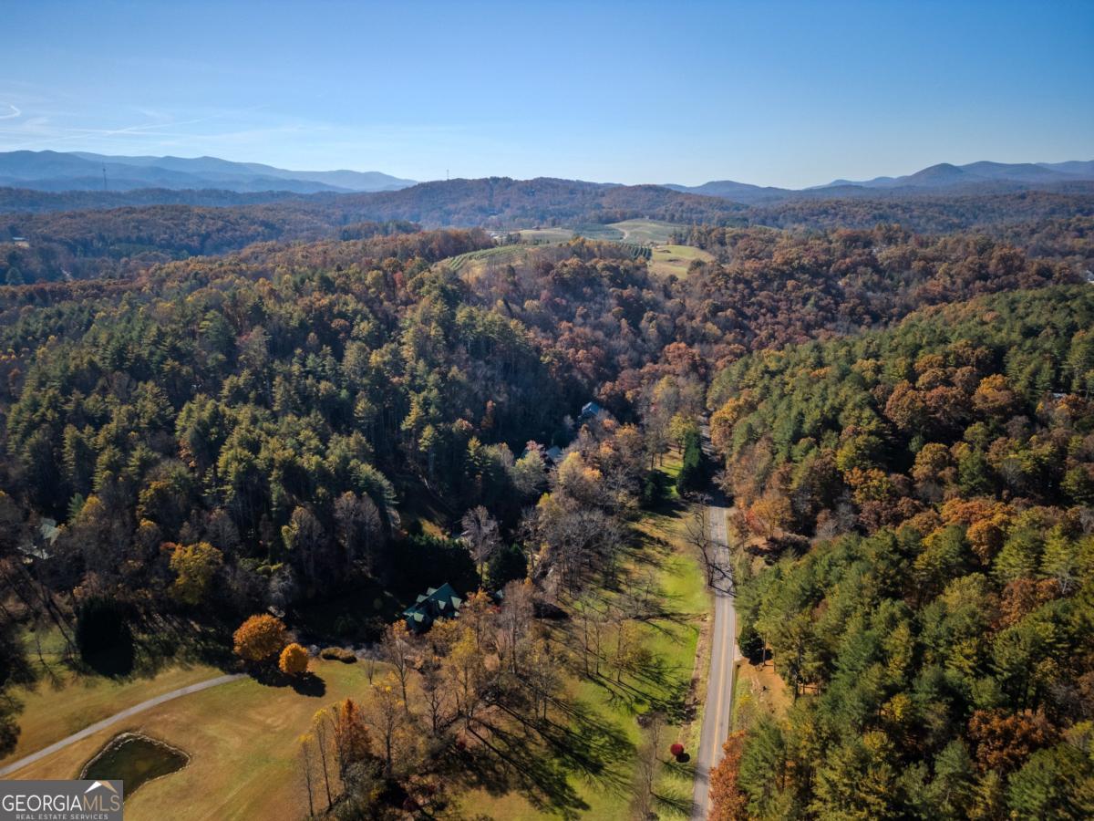60 Ford Road Blue Ridge GA 30513