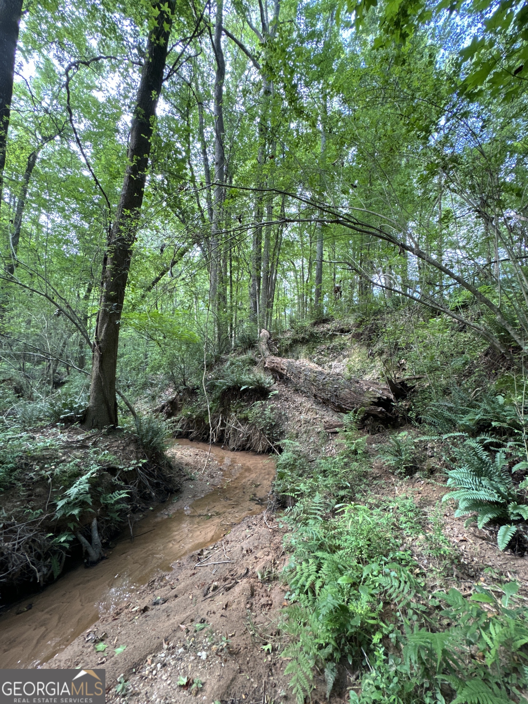105 Magnolia Drive Monticello GA 31064