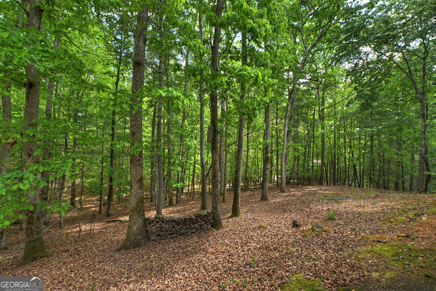 366 Shepherds Way Morganton GA 30560