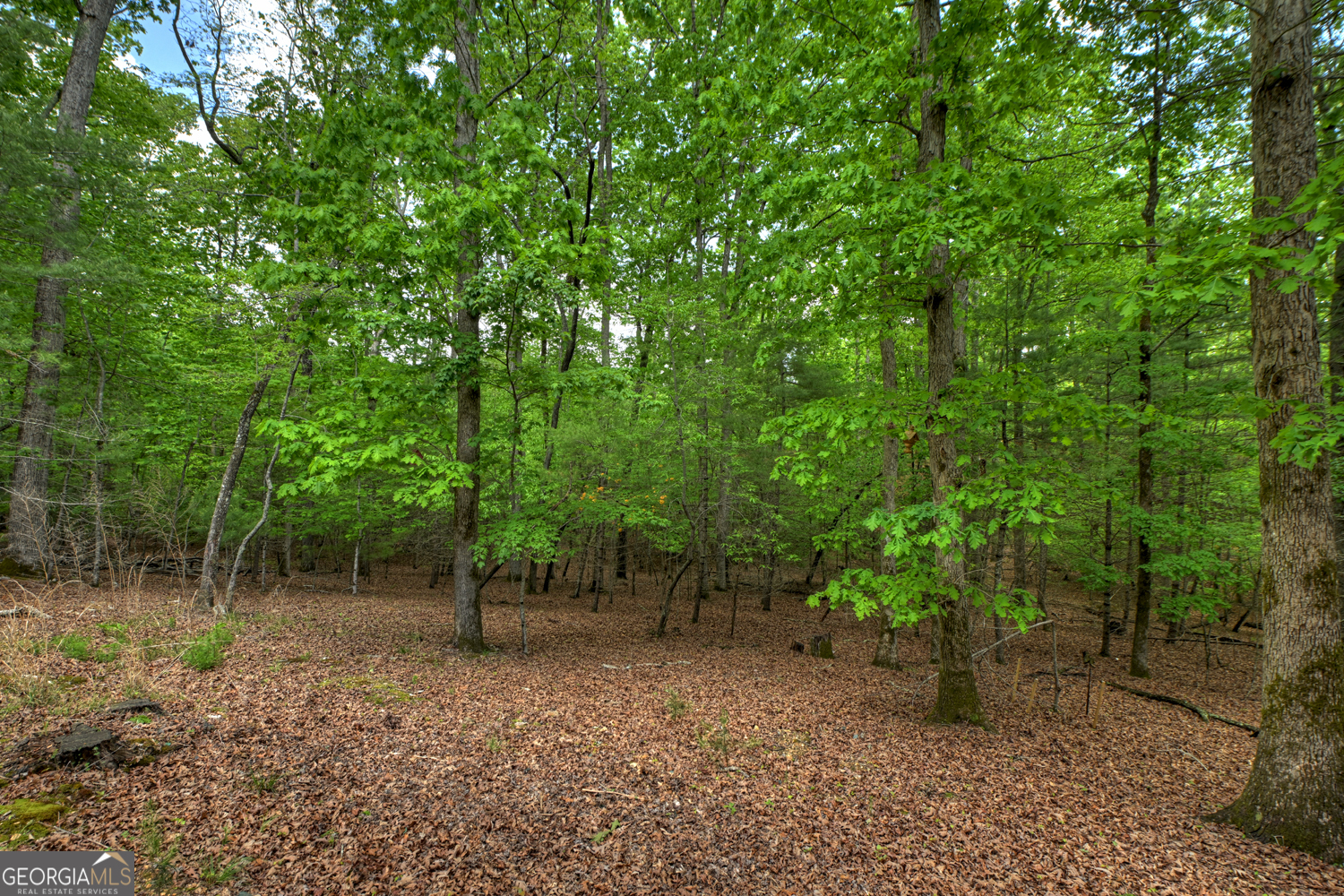 366 Shepherds Way Morganton GA 30560