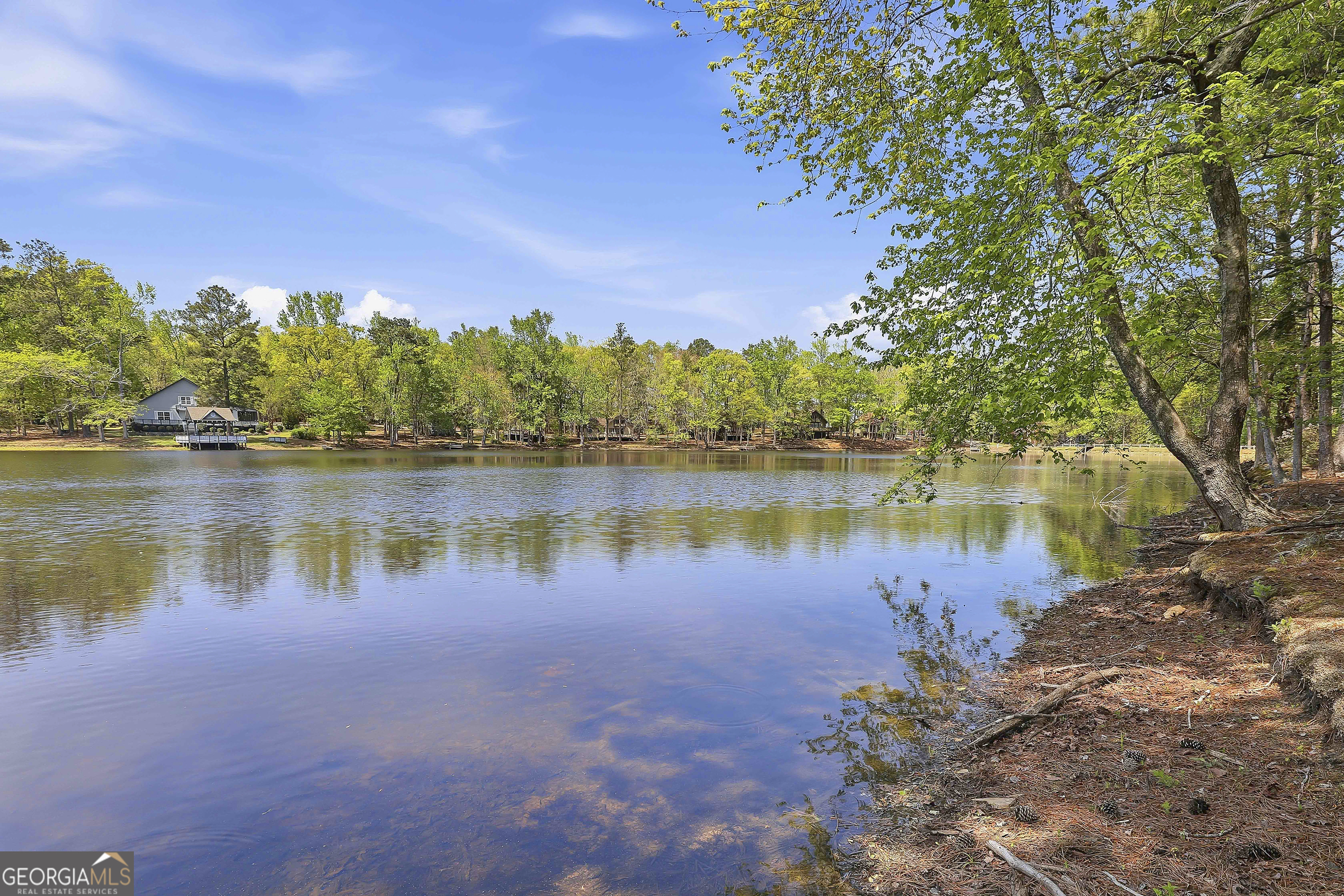 80 St. Moritz Drive Pine Mountain GA 31822