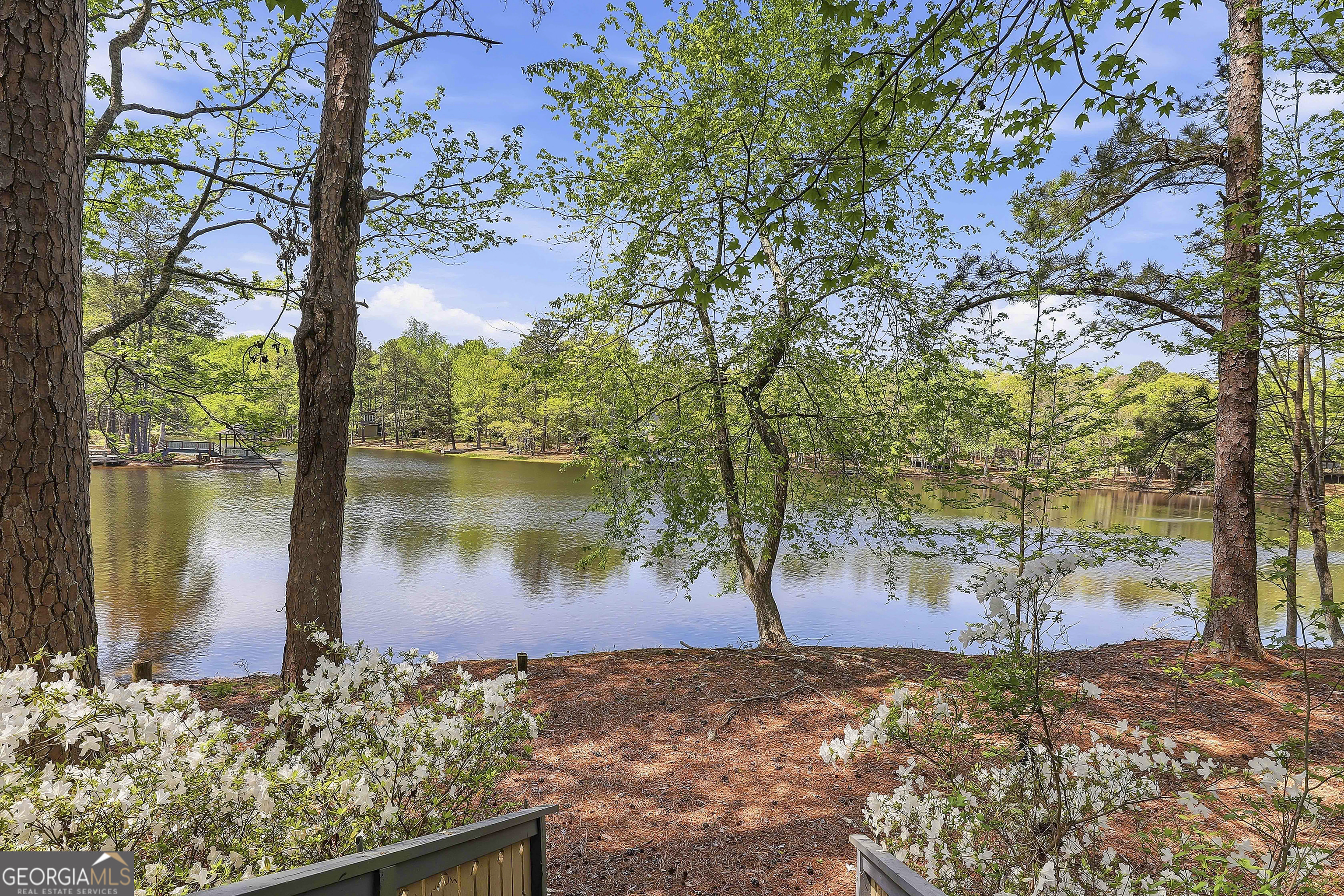 80 St. Moritz Drive Pine Mountain GA 31822