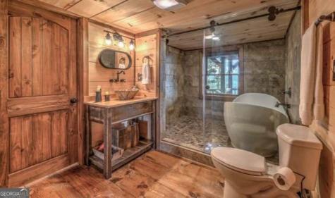 157 Misty Mountain Lane Blue Ridge GA 30513