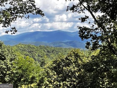 157 Misty Mountain Lane Blue Ridge GA 30513